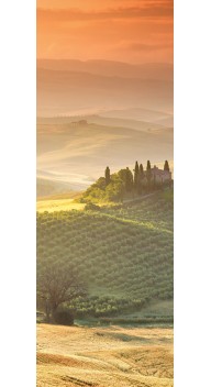 Italien Rundt Smagning, Jysk Vin Vinbar - Vinsmagninger og events